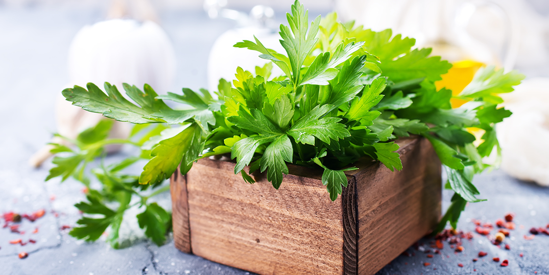 Parsley and Parsley Substitutes Dr. Russell Jaffe