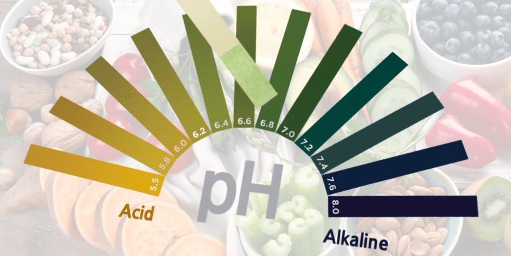 The Acid-Alkaline Paradox: How Acidic Foods Can Alkalinize the Body ...